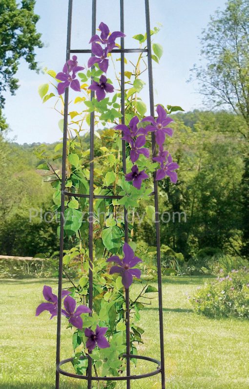 Kovová opora pre rastliny- obelisk cená, výška 200 cm, elegantná a estetická kovová opora pre popínavé rastliny do záhrady