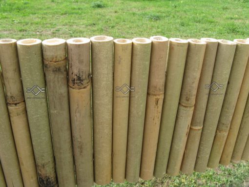 Záhonová obruba z bambusu, cena